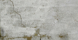 Traitement de façade contre la mousse, champignons ou pollution : conseils et tarifs