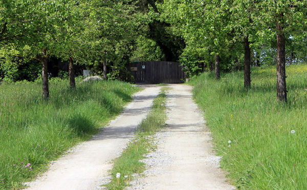 allée en terre 