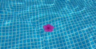 Comment construire sa propre piscine ? Les étapes essentielles !